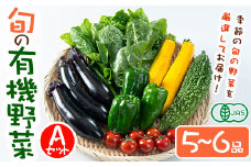 ＜期間限定＞旬の有機 野菜セット A(5〜6品) やさい 詰合せ 詰め合わせ 季節 おまかせ お楽しみ【114500101】【さとう有機農園】