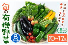 ＜期間限定＞旬の有機野菜セットB(10～12品目)やさい 詰合せ 詰め合わせ 季節 おまかせ お楽しみ【114500201】【さとう有機農園】