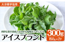 ＜先行予約受付中！2025年12月中旬以降順次発送予定＞アイスプラント(計約300g・150g×2パック)野菜 葉物野菜 葉野菜【114800101】【公益社団法人 あじむ農業公社】