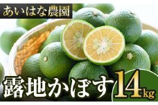 ＜先行予約受付中！2025年8月上旬～2026年2月下旬ごろ順次発送予定＞露地カボス(約14kg)かぼす カボス 柑橘 特産品 大分県産【107100901】【あいはな農園】