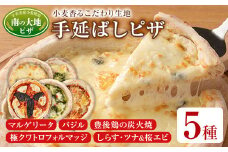 南の大地ピザ Aセット(合計5枚)ピザ イタリアン 冷凍 お祝い パーティー 惣菜 こだわり セット【102100100】【スターフーズ】