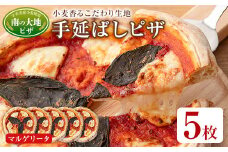 南の大地ピザ Cセット(5枚)ピザ イタリアン マルゲリータ 冷凍 お祝い パーティー 惣菜 こだわり セット【102100300】【スターフーズ】