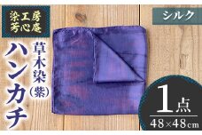 ハンカチ(紫) 染物 草木染 工芸品 手作り【115100300】【染工房　芳心庵】