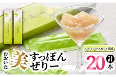 おおいた 美・すっぽんぜりー シャインマスカット風味(計20本・10本×2箱)小分け ゼリー スッポン 常温 保存【115300700】【アンフィニプロジェクト】