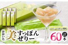 おおいた 美・すっぽんぜりー シャインマスカット風味(計60本・10本×6箱)小分け ゼリー スッポン 常温 保存【115300900】【アンフィニプロジェクト】