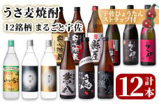 麦焼酎12銘柄 まるごと宇佐(合計12本・720ml×6本、900ml×6本) 酒 お酒 むぎ焼酎 麦焼酎 アルコール 飲料 常温 飲み比べ【101602401】【江戸心本館USA　未来ファクトリー事業部】