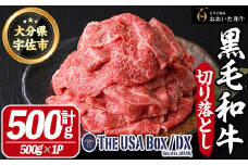 おおいた和牛 切り落とし THE USA Box/DX(500g×1P) 牛肉 黒毛和牛 A4 お肉【114003900】【一般社団法人　地域商社USA】