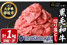 おおいた和牛 切り落とし THE USA Box/DX(500g×2P) 牛肉 黒毛和牛 A4 お肉【114004301】【一般社団法人　地域商社USA】