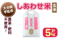 ＜先行予約受付中！11月以降発送予定＞しあわせ米 玄米(計5kg) お米 5キロ 常温 常温保存 【101000402】【宇佐本百姓】