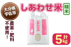 ＜先行予約受付中！11月以降発送予定＞しあわせ米 精米(計5kg) お米 白米 5キロ 常温 常温保存 【101000502】【宇佐本百姓】