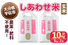 ＜先行予約受付中！11月以降発送予定＞しあわせ米 玄米(計10kg・5kg×2袋) お米 10キロ 常温 常温保存 【101000602】【宇佐本百姓】