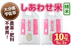 ＜先行予約受付中！11月以降発送予定＞しあわせ米 精米(計10kg・5kg×2袋) お米 白米 10キロ 常温 常温保存 【101000702】【宇佐本百姓】