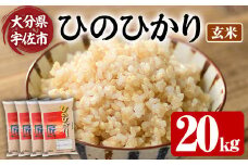 ＜先行予約受付中！2025年10月上旬より順次発送予定＞＜令和7年産・新米＞ひのひかり 玄米 (計20kg・5kg×4P) お米 ごはん ご飯【107101501】【あいはな農園】