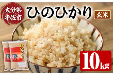 ＜先行予約受付中！2025年10月上旬より順次発送予定＞＜令和7年産・新米＞ひのひかり 玄米 (計10kg・5kg×2P) お米 ごはん ご飯【107101401】【あいはな農園】