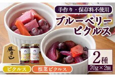 ＜先行予約受付中！2025年9月上旬より順次発送予定＞ブルーベリーピクルス(2種・各70g) フルーツ ブルーベリー ピクルス 根菜 勝負めし【116500200】【藍苺GARDEN イロハノホトリ】
