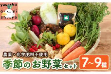 季節のお野菜 セット(7～9種) 野菜 やさい 詰合せ 詰め合わせ 季節 おまかせ お楽しみ【117000100】【やさしいお野菜 しん屋】