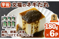 宇佐名物 文福のネギだれ (計1.08kg・180g×6P) ネギ ねぎ 葱 たれ タレ 勝負めし【102200400】【観光館　文福】