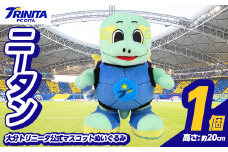 大分トリニータ 公式マスコットぬいぐるみ ニータン (1個) Jリーグ サッカー trinita にーたん グッズ【116300100】【大分フットボールクラブ】