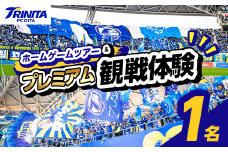大分トリニータ ツアー＆プレミアム観戦体験 (1名) Jリーグ サッカー trinita 体験 チケット 観戦チケット【116300400】【大分フットボールクラブ】