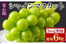＜定期便・全3回(連続)＞シャインマスカット(総量6kg・2kg×3回)フルーツ 果物 葡萄 ぶどう 安心院 人気 ランキング＜先行予約受付中！2025年8月下旬より順次発送予定＞＜北海道 沖縄 離島配送不可＞【206300300】【大分県農業協同組合 北部エリア】