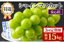 ＜定期便・全3回(連続)＞特選シャインマスカット(総量15kg・約5kg×3回)シャインマスカット ぶどう 葡萄 フルーツ 果物 くだもの 果実 特選＜先行予約受付中！2025年8月下旬より順次発送予定＞＜北海道、沖縄、離島配送不可＞【206300400】【大分県農業協同組合　北部エリア】