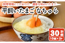 平飼い卵 なちゅら(計30個・10個×3P) 卵 玉子 鶏卵 卵かけご飯 玉子焼き【108800400】【カジワラファーム】