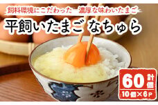 平飼い卵 なちゅら(計60個・10個×6P) 卵 玉子 鶏卵 卵かけご飯 玉子焼き【108800500】【カジワラファーム】