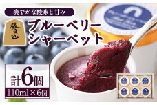 ブルーベリーシャーベット(計660ml・110ml×6個) シャーベット アイスクリーム ソルベ フルーツ ブルーベリー 果物 スイーツ デザート おやつ 勝負めし 【116500300】【藍苺GARDEN イロハノホトリ】