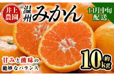 ＜先行予約受付中！11月中旬より順次発送予定＞数量限定 大分県宇佐市産 温州みかん(約10kg)みかん ミカン 蜜柑 柑橘 フルーツ 果物 くだもの 果実 国産【103620200】【井上農園】