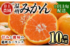 ＜先行予約受付中！11月上旬より順次発送予定＞数量限定 大分県宇佐市産 温州みかん(約10kg)みかん ミカン 蜜柑 柑橘 フルーツ 果物 くだもの 果実 国産【103620100】【井上農園】