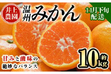 ＜先行予約受付中！11月下旬より順次発送予定＞数量限定 大分県宇佐市産 温州みかん(約10kg)みかん ミカン 蜜柑 柑橘 フルーツ 果物 くだもの 果実 国産【103620300】【井上農園】