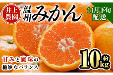 ＜先行予約受付中！11月下旬より順次発送予定＞数量限定 大分県宇佐市産 温州みかん(約10kg)みかん ミカン 蜜柑 柑橘 フルーツ 果物 くだもの 果実 国産【103620300】【井上農園】