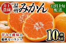 ＜先行予約受付中！12月上旬より順次発送予定＞数量限定 大分県宇佐市産 温州みかん(約10kg)みかん ミカン 蜜柑 柑橘 フルーツ 果物 くだもの 果実 国産【103620400】【井上農園】