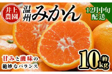 ＜先行予約受付中！12月中旬より順次発送予定＞数量限定 大分県宇佐市産 温州みかん(約10kg)みかん ミカン 蜜柑 柑橘 フルーツ 果物 くだもの 果実 国産【103620500】【井上農園】