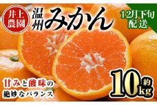 ＜先行予約受付中！12月下旬より順次発送予定＞数量限定 大分県宇佐市産 温州みかん(約10kg)みかん ミカン 蜜柑 柑橘 フルーツ 果物 くだもの 果実 国産【103620600】【井上農園】
