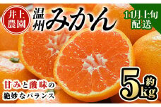 ＜先行予約受付中！11月上旬より順次発送予定＞数量限定 大分県宇佐市産 温州みかん(約5kg)みかん ミカン 蜜柑 柑橘 フルーツ 果物 くだもの 果実 国産【103610100】【井上農園】