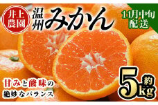 ＜先行予約受付中！11月中旬より順次発送予定＞数量限定 大分県宇佐市産 温州みかん(約5kg)みかん ミカン 蜜柑 柑橘 フルーツ 果物 くだもの 果実 国産【103610200】【井上農園】
