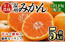 ＜先行予約受付中！11月下旬より順次発送予定＞数量限定 大分県宇佐市産 温州みかん(約5kg)みかん ミカン 蜜柑 柑橘 フルーツ 果物 くだもの 果実 国産【103610300】【井上農園】
