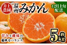 ＜先行予約受付中！12月上旬より順次発送予定＞数量限定 大分県宇佐市産 温州みかん(約5kg)みかん ミカン 蜜柑 柑橘 フルーツ 果物 くだもの 果実 国産【103610400】【井上農園】