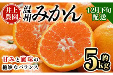 ＜先行予約受付中！12月下旬より順次発送予定＞数量限定 大分県宇佐市産 温州みかん(約5kg)みかん ミカン 蜜柑 柑橘 フルーツ 果物 くだもの 果実 国産【103610600】【井上農園】