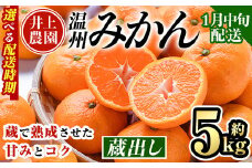 ＜1月中旬より順次発送予定＞大分県宇佐市産 蔵出し みかん(約5kg)ミカン 蜜柑 柑橘 フルーツ 果物 くだもの 果実 国産 熟成【103640100】【井上農園】
