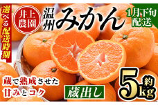 ＜1月下旬より順次発送予定＞大分県宇佐市産 蔵出し みかん(約5kg)ミカン 蜜柑 柑橘 フルーツ 果物 くだもの 果実 国産 熟成【103640200】【井上農園】