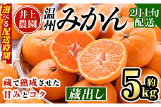 ＜2月上旬より順次発送予定＞大分県宇佐市産 蔵出し みかん(約5kg)ミカン 蜜柑 柑橘 フルーツ 果物 くだもの 果実 国産 熟成【103640300】【井上農園】