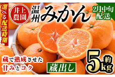 ＜2月中旬より順次発送予定＞大分県宇佐市産 蔵出し みかん(約5kg)ミカン 蜜柑 柑橘 フルーツ 果物 くだもの 果実 国産 熟成【103640400】【井上農園】