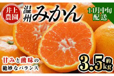 ＜先行予約受付中！11月中旬より順次発送予定＞数量限定 大分県宇佐市産 温州みかん(約3.5kg)みかん ミカン 蜜柑 柑橘 フルーツ 果物 くだもの 果実 国産【103670200】【井上農園】