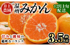 ＜先行予約受付中！12月上旬より順次発送予定＞数量限定 大分県宇佐市産 温州みかん(約3.5kg)みかん ミカン 蜜柑 柑橘 フルーツ 果物 くだもの 果実 国産【103670400】【井上農園】