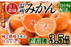 ＜1月中旬より順次発送予定＞大分県宇佐市産 蔵出し みかん(約3.5kg)ミカン 蜜柑 柑橘 フルーツ 果物 くだもの 果実 国産 熟成【103680100】【井上農園】