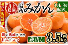 ＜1月下旬より順次発送予定＞大分県宇佐市産 蔵出し みかん(約3.5kg)ミカン 蜜柑 柑橘 フルーツ 果物 くだもの 果実 国産 熟成【103680200】【井上農園】