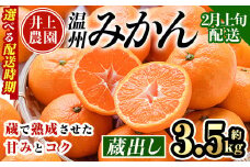 ＜2月上旬より順次発送予定＞大分県宇佐市産 蔵出し みかん(約3.5kg)ミカン 蜜柑 柑橘 フルーツ 果物 くだもの 果実 国産 熟成【103680300】【井上農園】