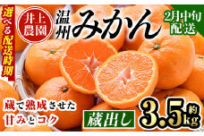 ＜2月中旬より順次発送予定＞大分県宇佐市産 蔵出し みかん(約3.5kg)ミカン 蜜柑 柑橘 フルーツ 果物 くだもの 果実 国産 熟成【103680400】【井上農園】